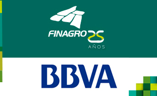 bbva_2.jpg