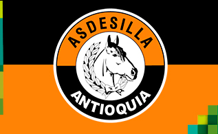 asdesilla.jpg