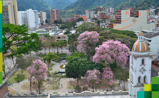 ibague.jpg