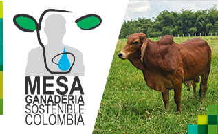 mesa-ganadera.jpg