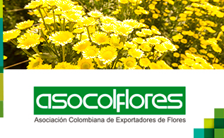 asocolflores.jpg
