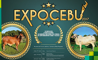 expocebu_1.jpg