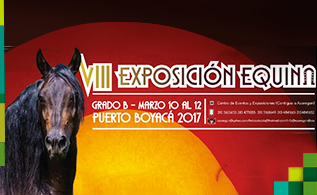 exposicion-equina_1.jpg