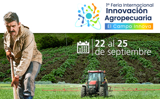 el-campo-innova.jpg