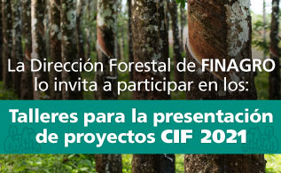 invitacion-cif.jpg