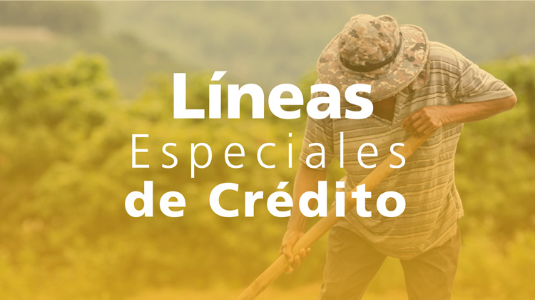 Líneas especiales de crédito
