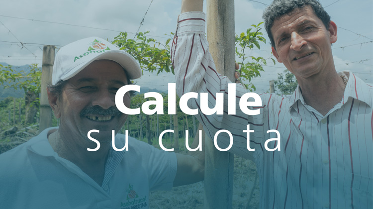 Calcule su cuota