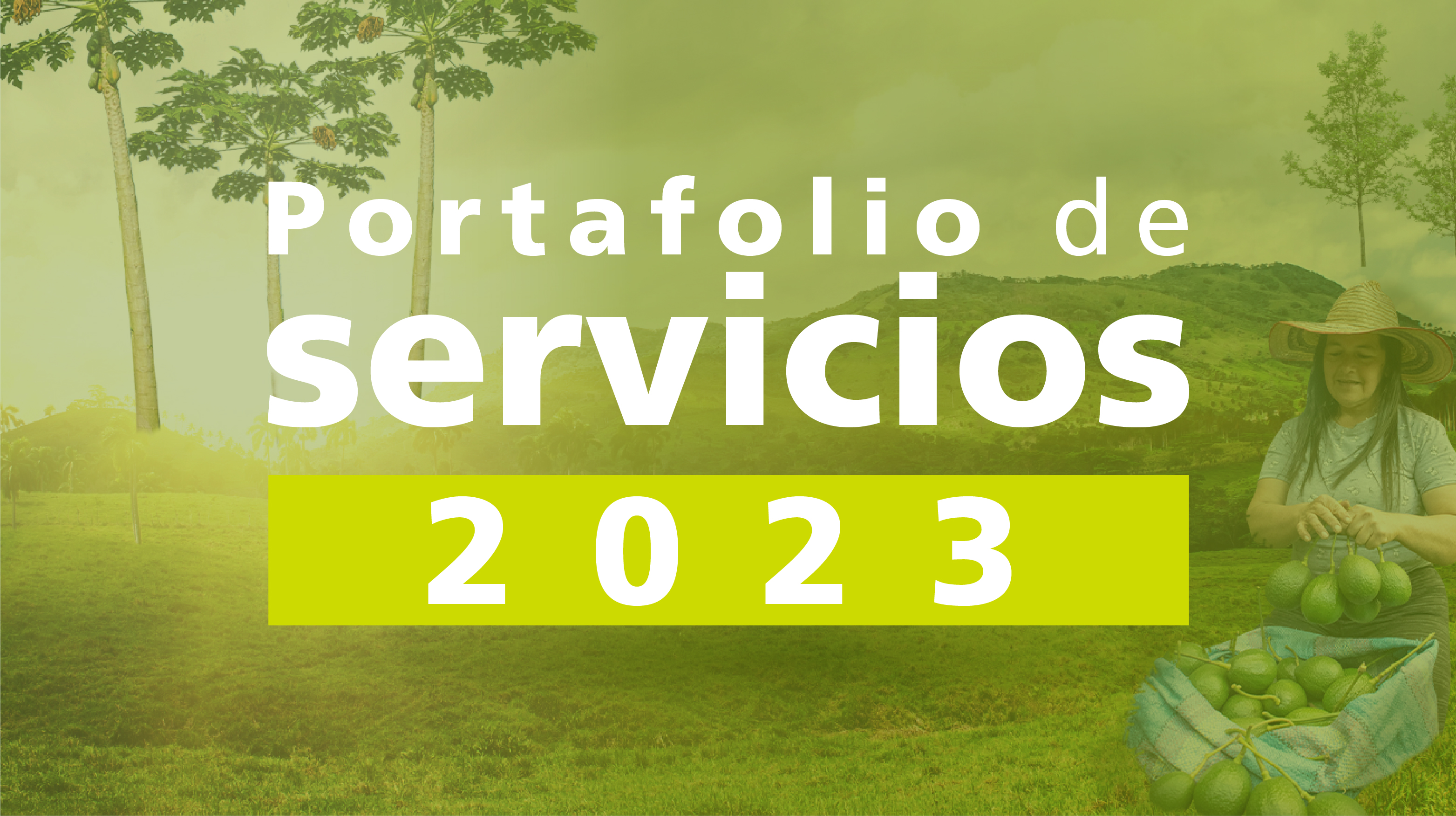 Portafolio de Servicios
