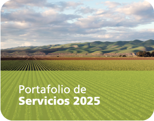 Portafolio de Servicios