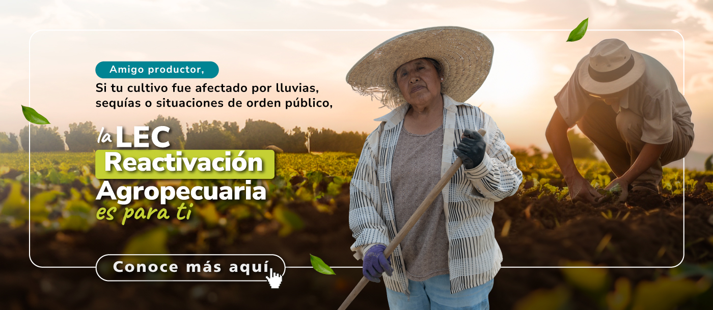 LEC de Reactivación Agropecuaria