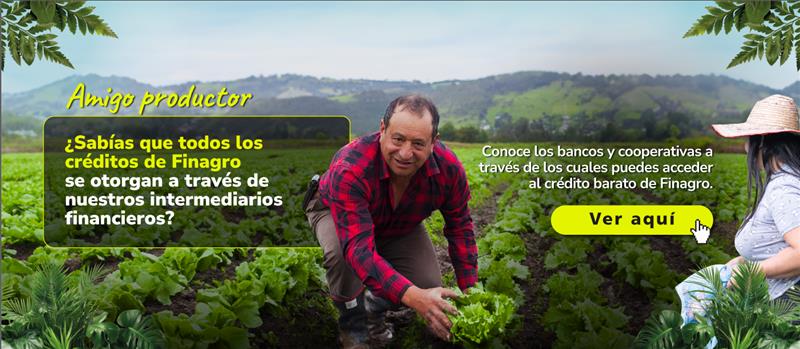 Productor y productora en cultivo de hortalizas