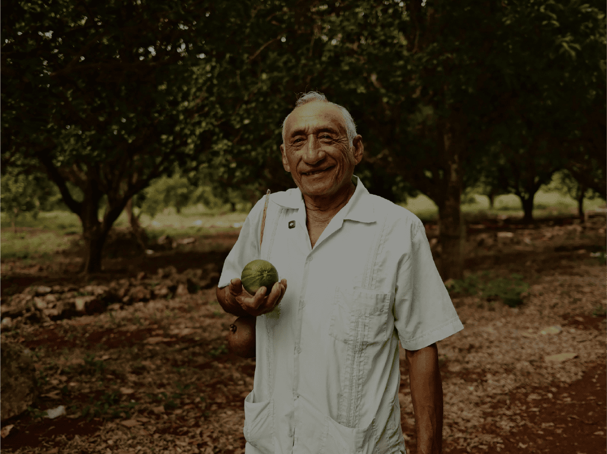tarjeta de funciones planes anuales