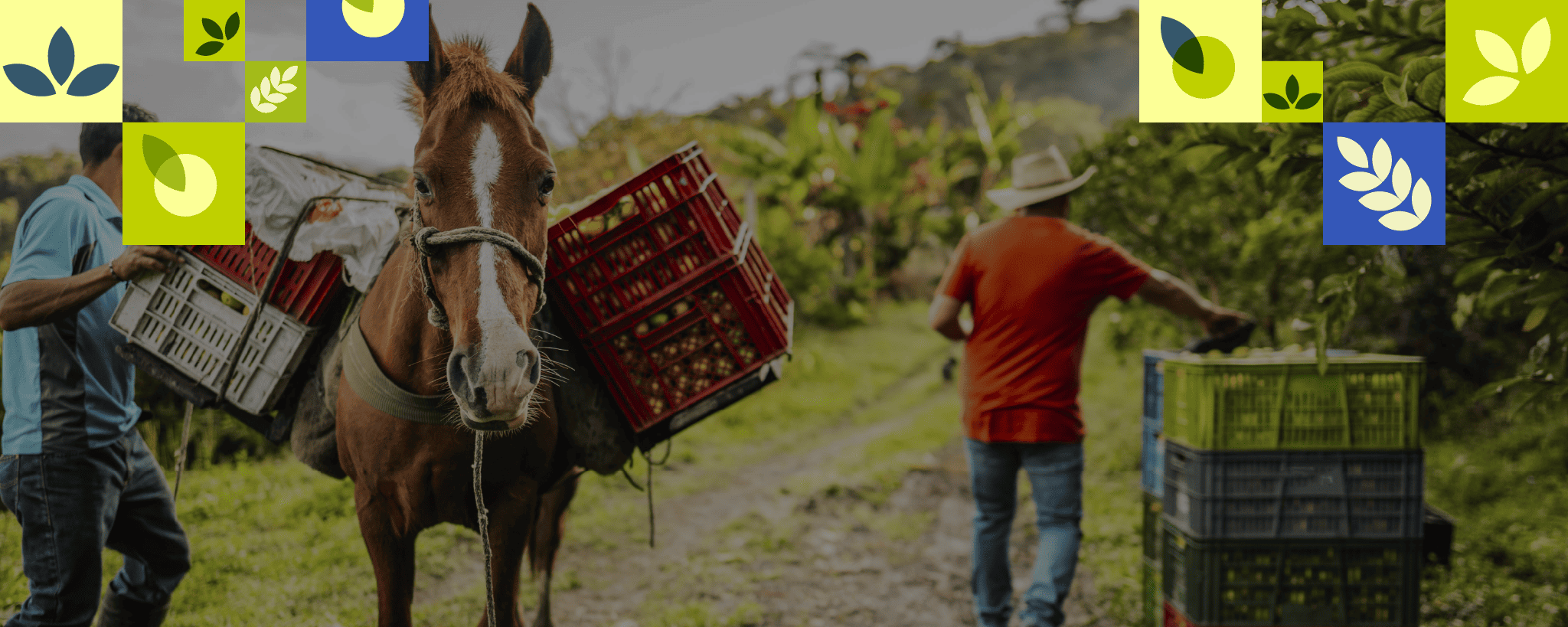 Finagro reafirma su apuesta por la asociatividad tras desembolsar más de $6,06 billones en crédito colectivo