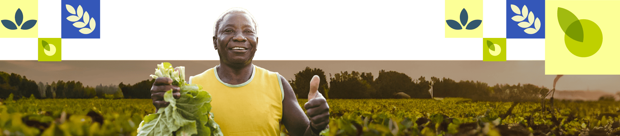 Finagro reafirma su apuesta por la asociatividad tras desembolsar más de $6,06 billones en crédito colectivo