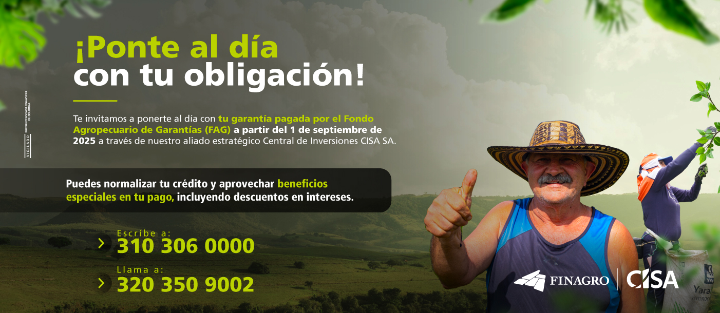 Ponte al día con tu obligación 