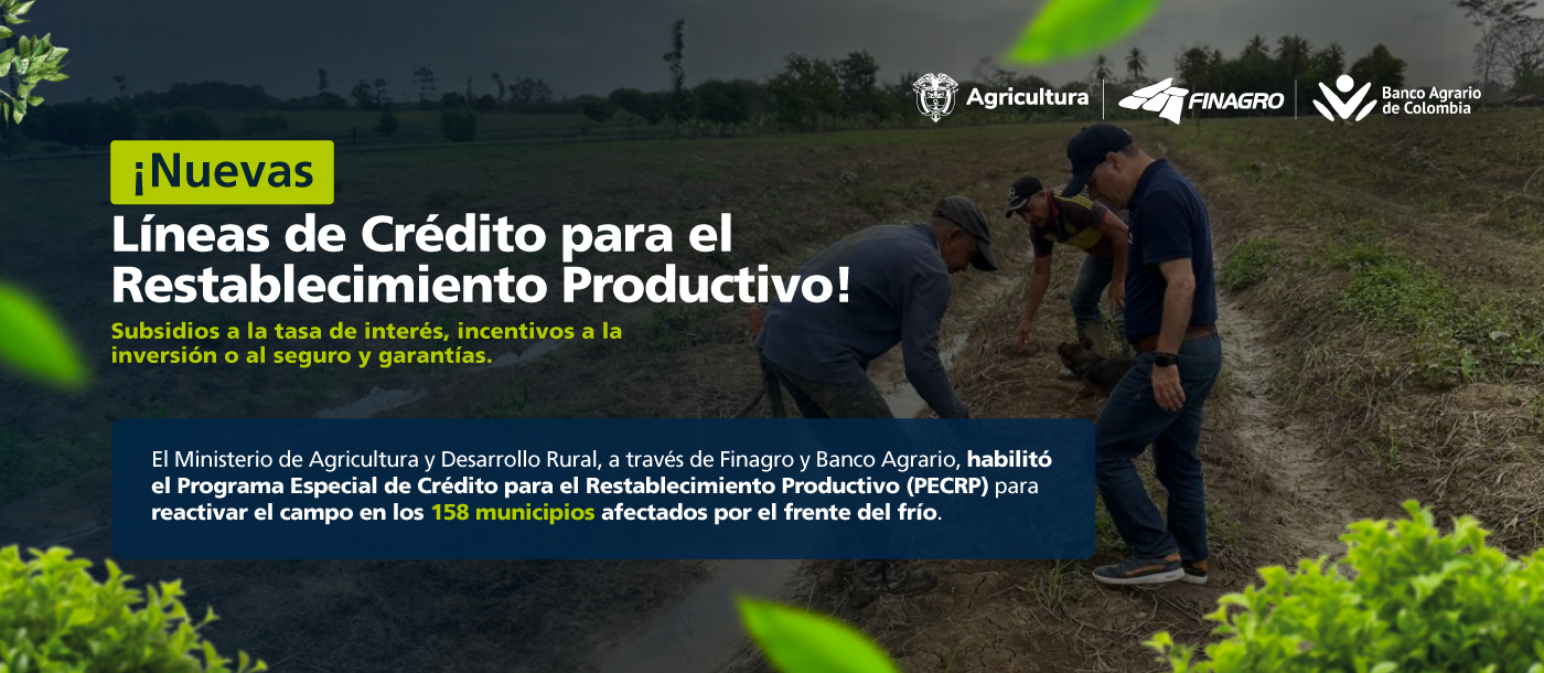 Campesinos en siembra de semillas