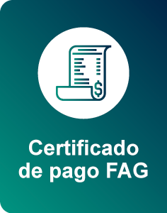Botón certificado de pago