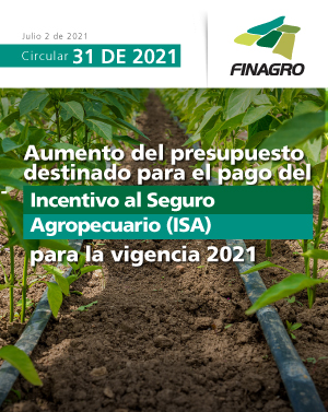 Portada circular 31