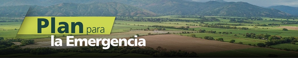 Lec- El campo no para.
