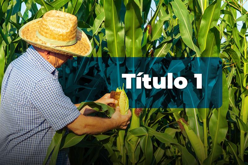 Título 1: Crédito Agropecuario y Rural