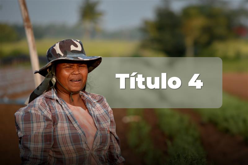 Título 4: Lineas Especiales de Credito (LEC) con Tasa Subsidiada