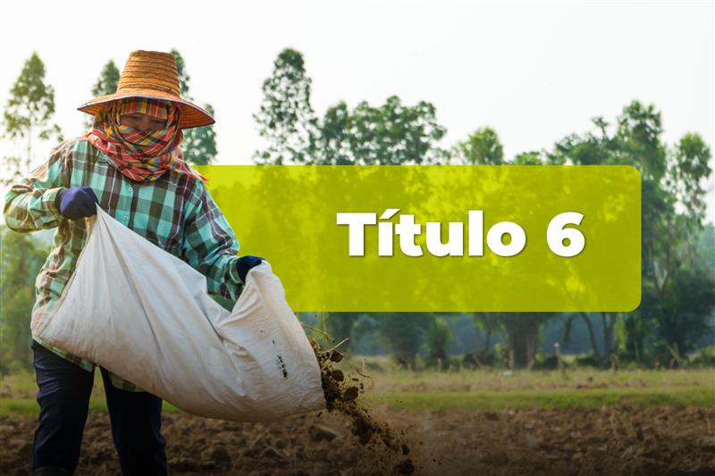 Título 6: Compromisos, seguimiento, control y trámite de verificación
