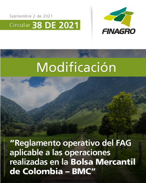 Infografía circular número 38