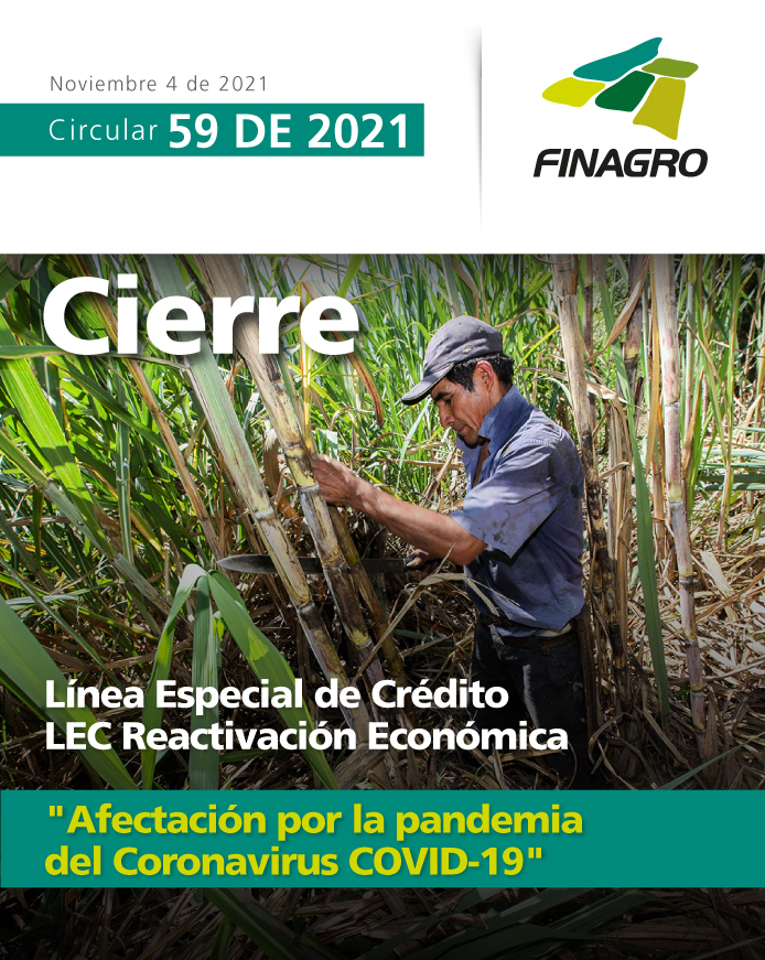 Infografía circular número 59