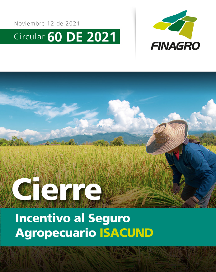 Infografía circular número 60
