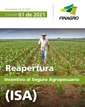 Infografía circular número 61