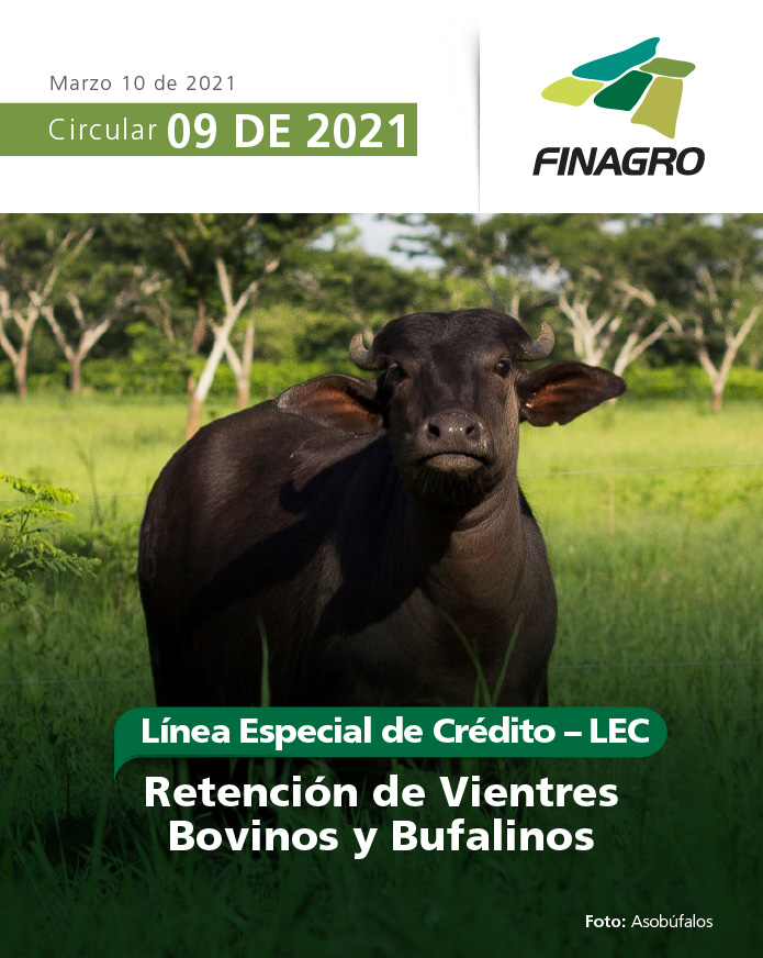Circular 9 -Retención de vientres-