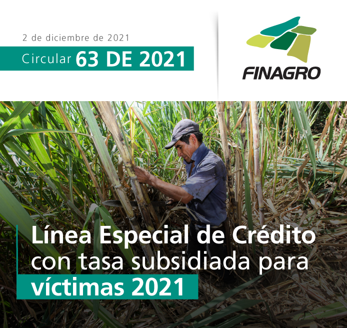 Infografía circular número 63