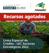 Circular 5