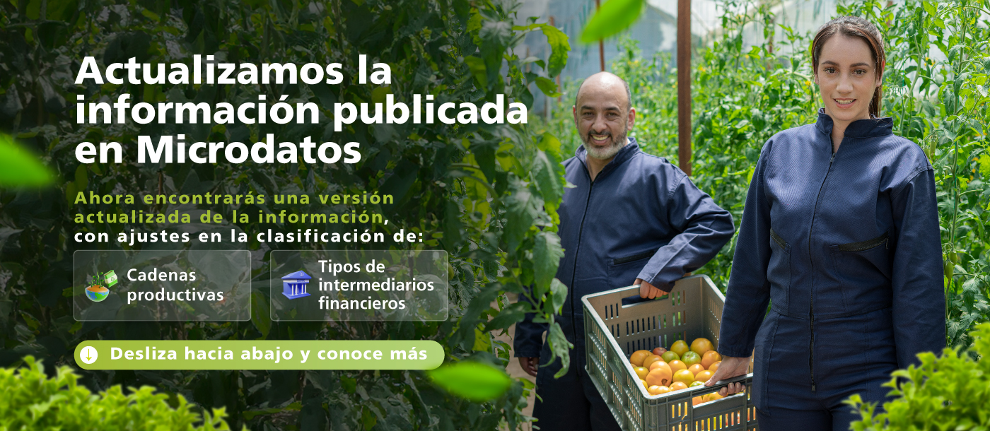 Cultivadores de tomate recogiendo cosecha