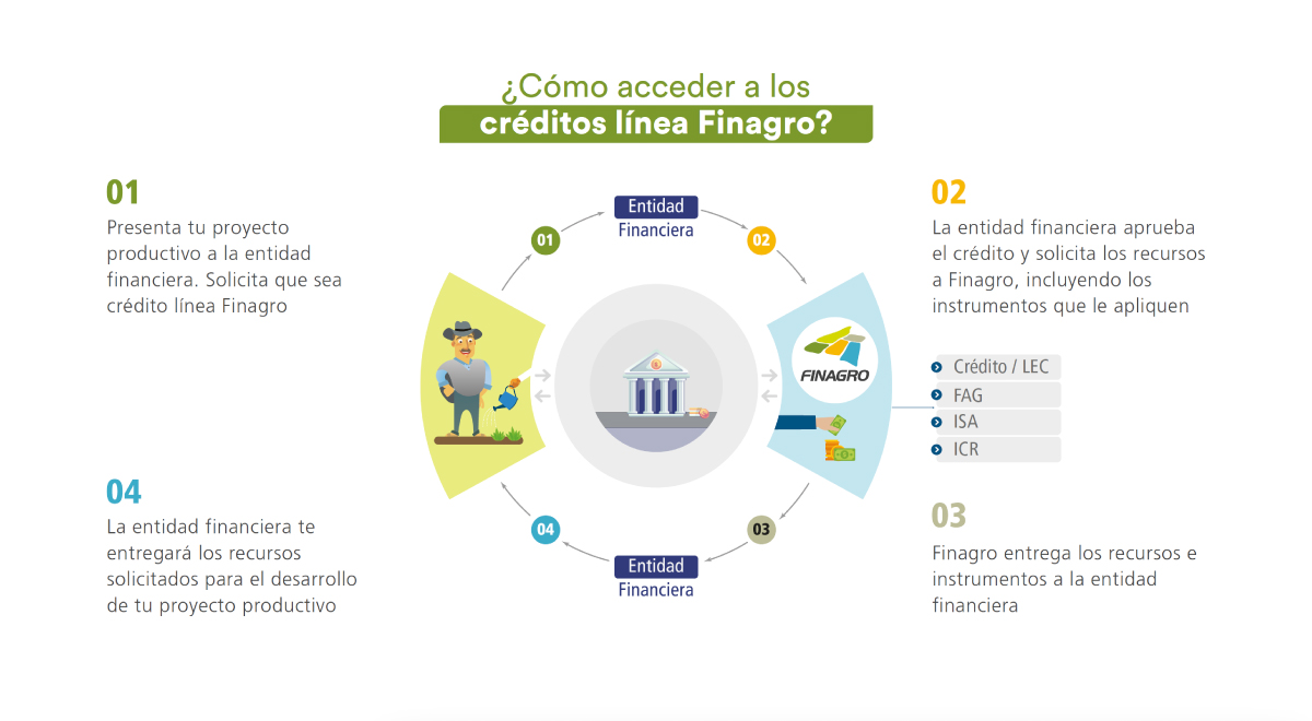 como acceder