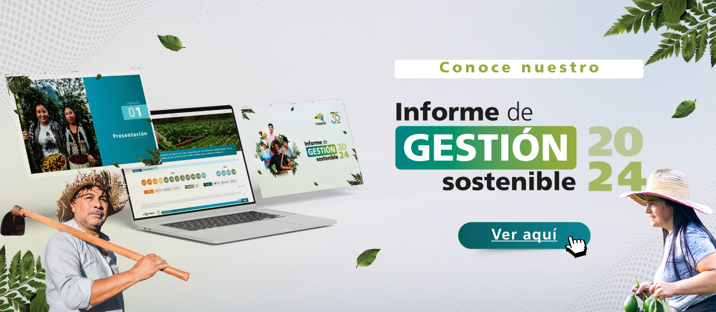 informe de gestion 2024