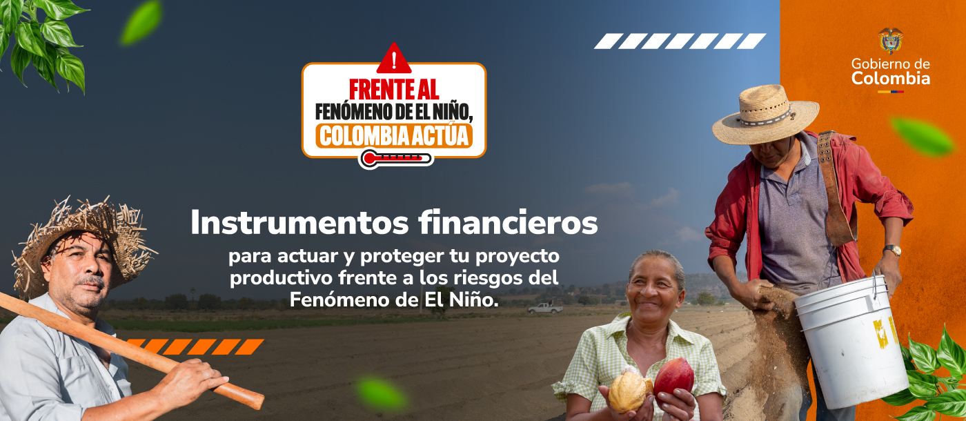 Diferentes productores haciendo frente al fenómeno del niño