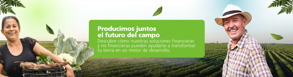 "Cultivadores de coliflor y yuca"