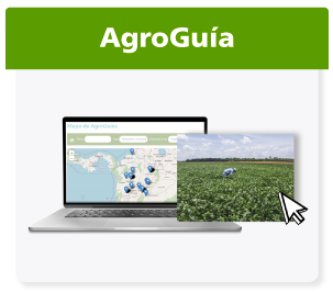 Consulte nuestras agroguías