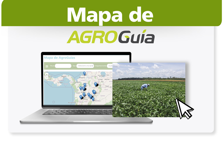 Mapa Agroguías