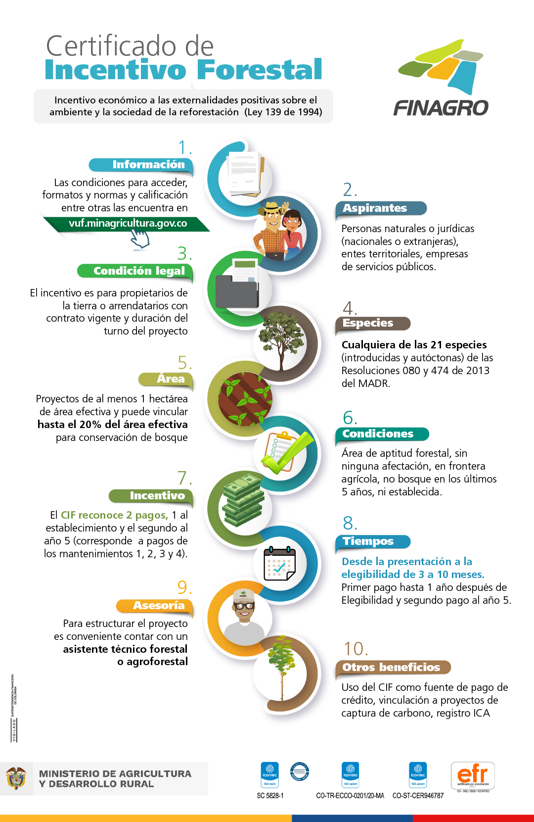 infografia_cif_30_07_2021