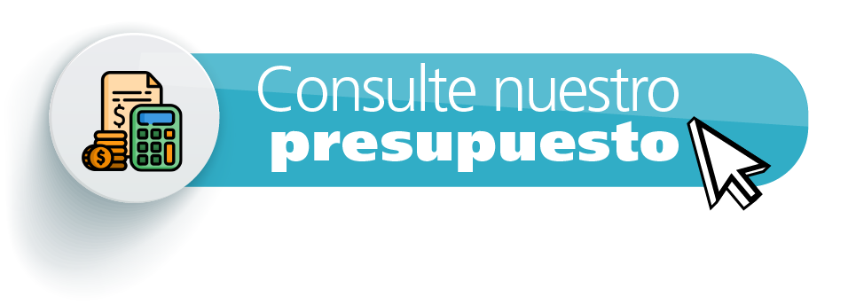 Consultar Presupuesto 