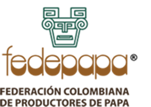 Fedepapa