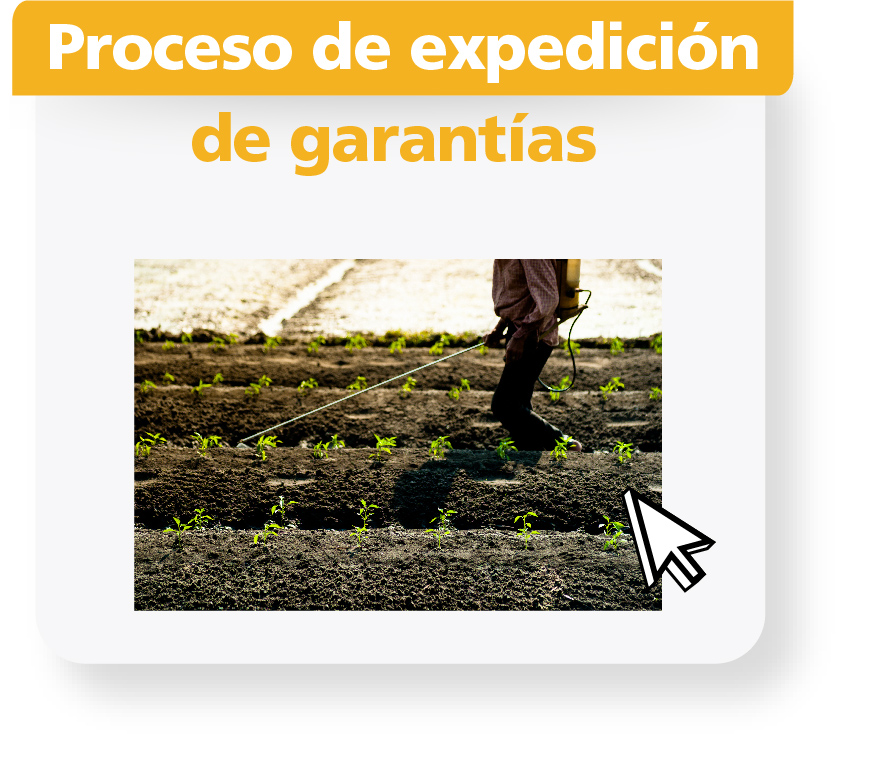 Expedición de garantías