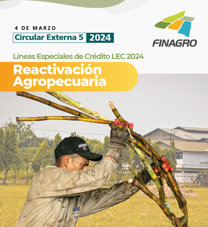 LEC 2024 - Reactivación Agropecuaria