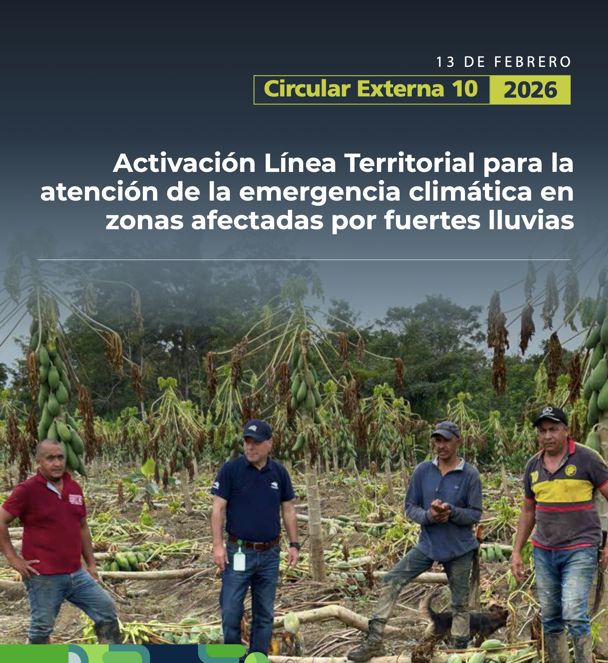 Circular Externa 10 de 2026