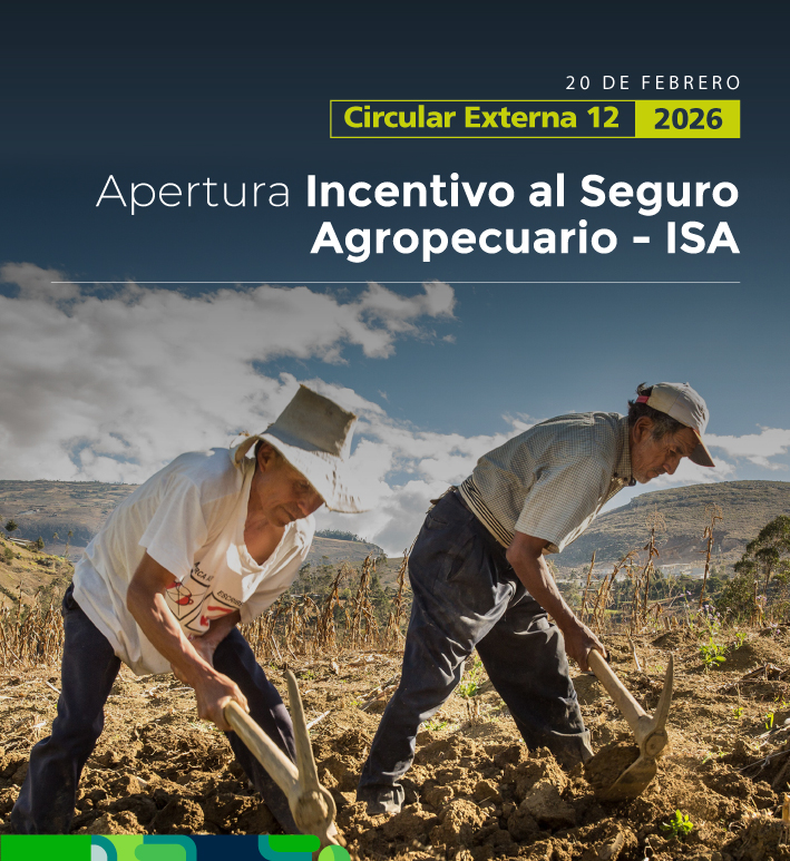 Circular Externa 12 de 2026