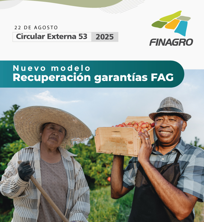 Infografia Circular 53