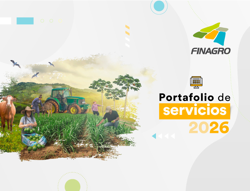 Portada del portafolio 2026