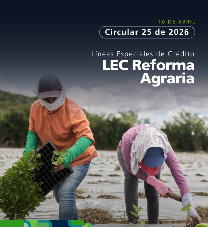 Campesinos recolectando